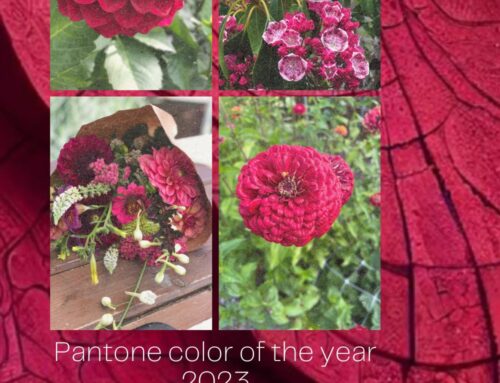 Pantone’s 2023 color of the year: Are you ready for the “Magentaverse”?