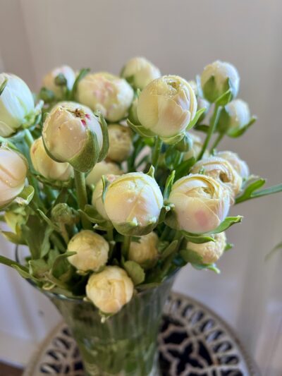 Romance Ranunculus Hydra in a vase