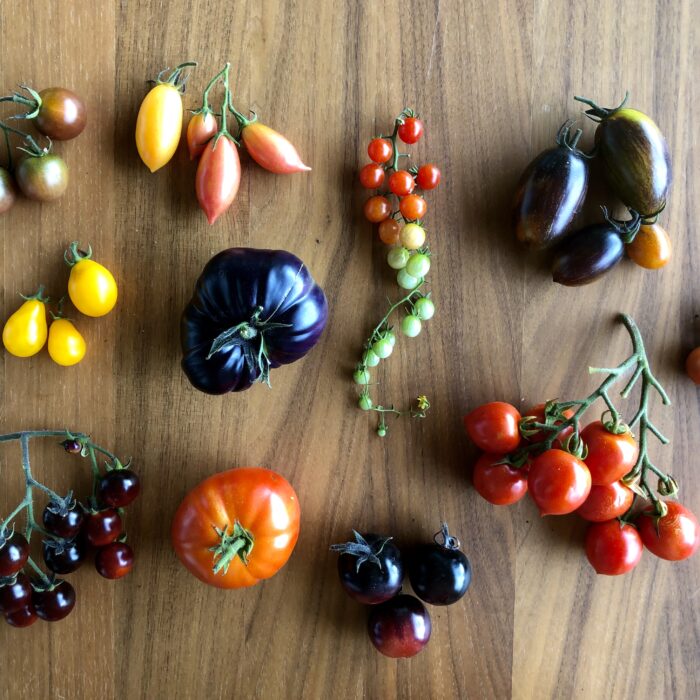 Tomatoes