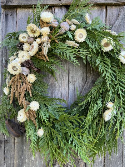 cedar and strawflower holiday wreath