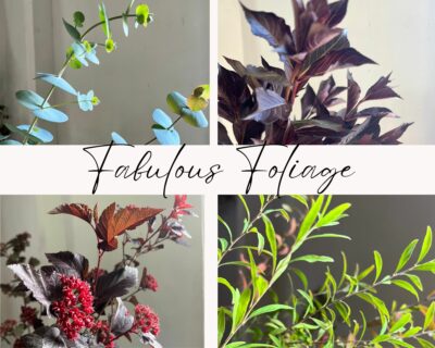 Collection Collage_Fabulous Foliage