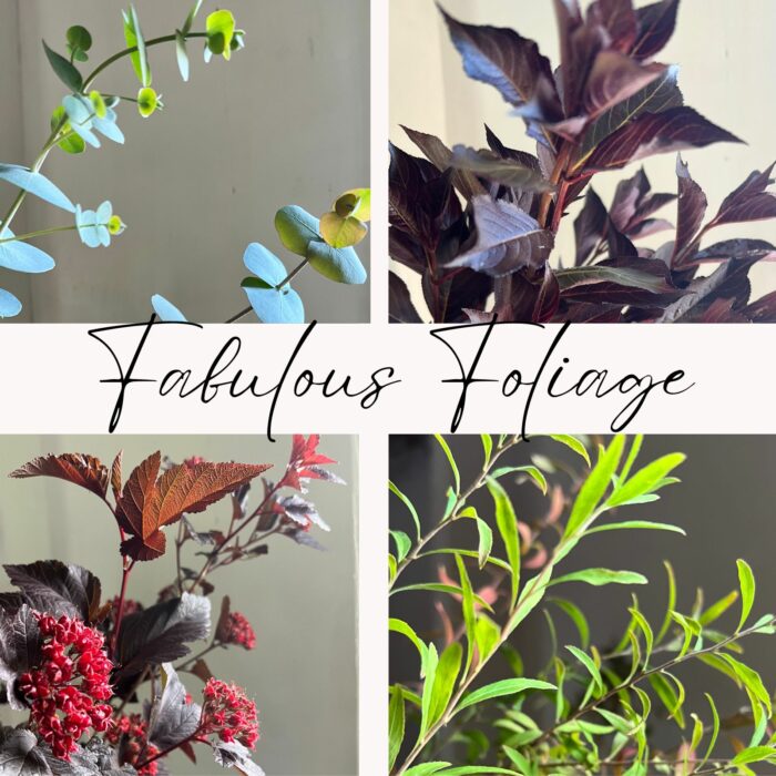 Collection Collage_Fabulous Foliage