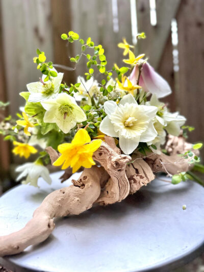 Daffodil arrangement by Befleur