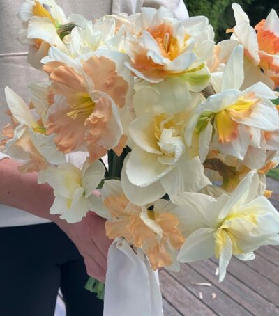 Daffodil arrangement by Ivy & Birch Design