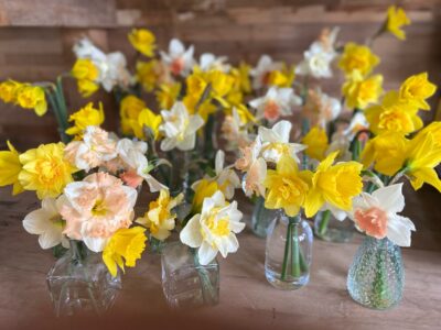 Daffodil arrangement by Verbena Floral