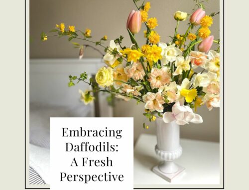 Embracing Daffodils: A Fresh Perspective