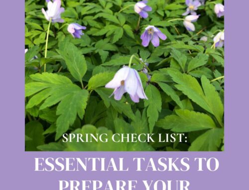 Spring Gardening: Essential Tasks to Prepare Your Garden for Spring