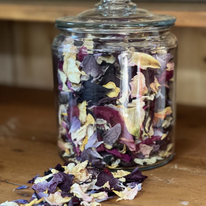 Dried Flowers