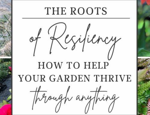 Roots of Resiliency: How to Help Your Garden Thrive Through Anything