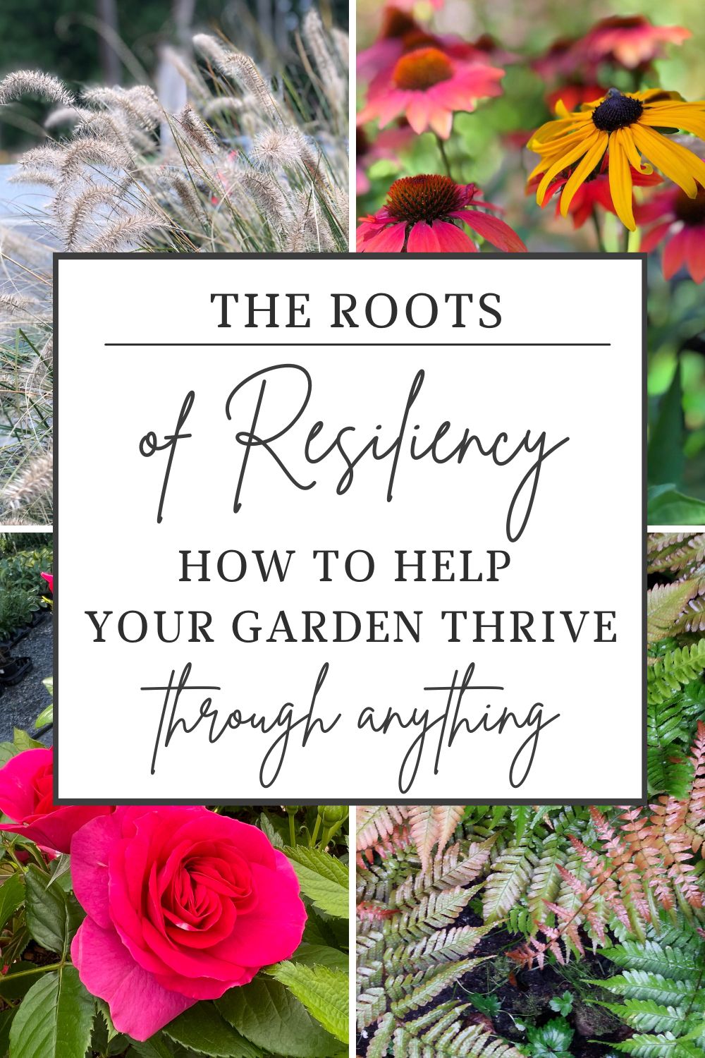 Roots of Resiliency — how to build a resilient garden in the Pacific Northwest